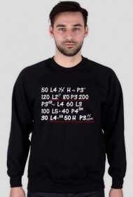 Rajdowy opis (bluza męska)