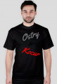 Kocur