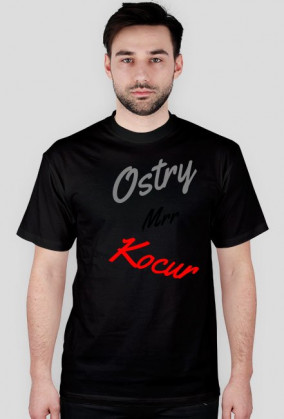 Kocur