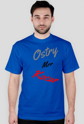 Kocur