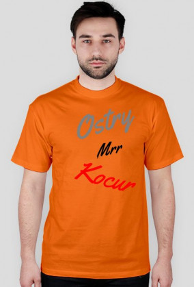 Kocur