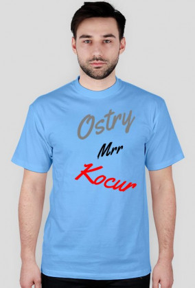 Kocur