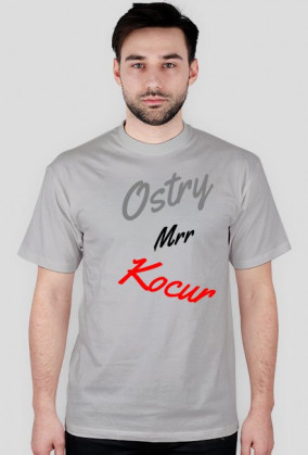 Kocur