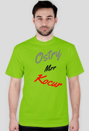 Kocur