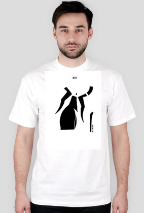 XIII DEATH / XIV TEMPERANCE