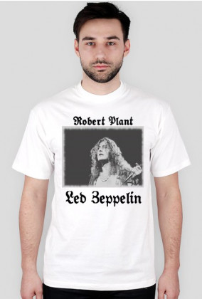 Robert Plant 2