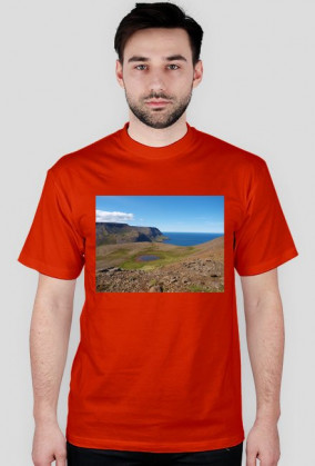 Koszulka męska - krajobraz