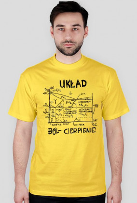 Układ Ból- Cierpienie