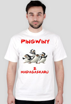 koszulka pingwinów