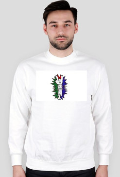 Bluza