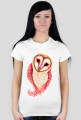 Spoczito Barn Owl