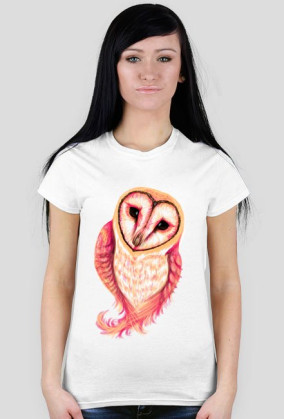 Spoczito Barn Owl