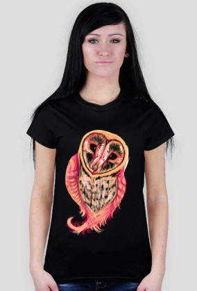 Spoczito Barn Owl