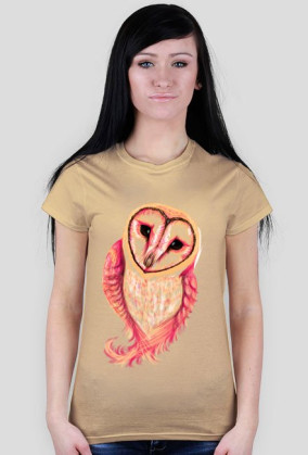 Spoczito Barn Owl