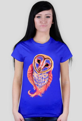Spoczito Barn Owl