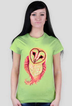 Spoczito Barn Owl
