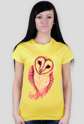 Spoczito Barn Owl