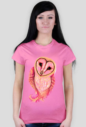 Spoczito Barn Owl