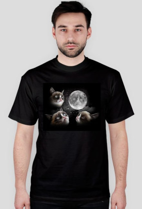 Three Grumpy Cats