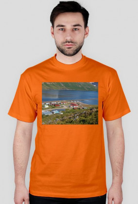 Koszulka męska - wieś na Islandii