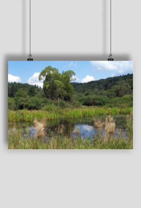 Plakat Panoramio