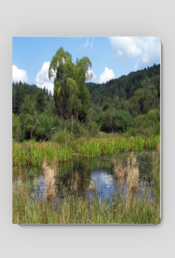 Podkładka Panoramio