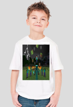 koszulka minecraf