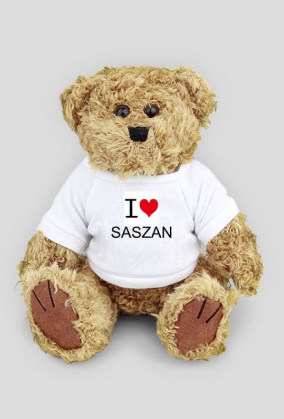 I ♥ Saszan