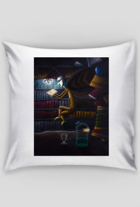 Poduszka Bibliotekarz/Pillow Librarian
