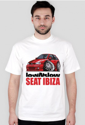 Seat Ibiza lowNslow