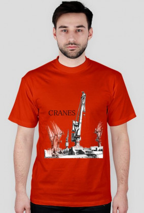 Żurawie Gdańskie