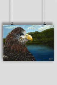 Plakat Orzeł/Poster Eagle