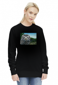 Bluza Pójdźka/Blouse Little Owl