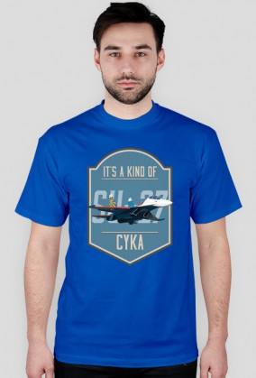 IT'S A KIND OF CYKA SU-27