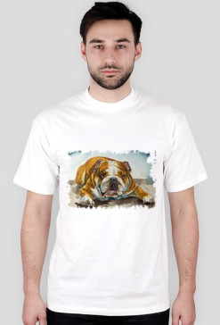 pies bulldog