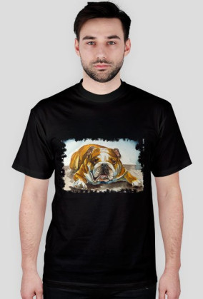 pies bulldog