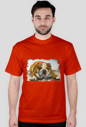 pies bulldog