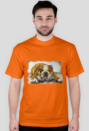 pies bulldog