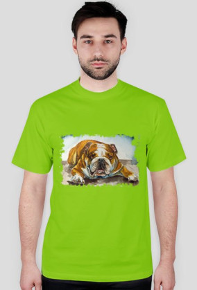pies bulldog
