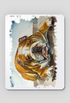 pies bulldog