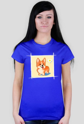 Spoczito Corgi 3