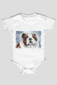 Bulldog