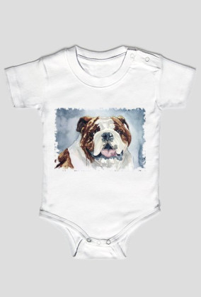 Bulldog