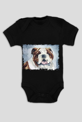 Bulldog