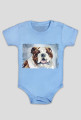 Bulldog