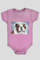 Bulldog