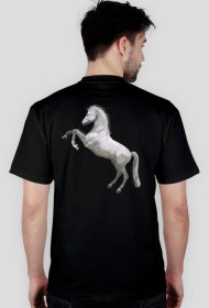 Klasyka - wersja dla elegantów