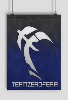Plakat Teamu