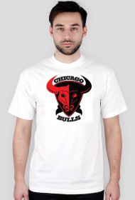 T-Shirt - Chicago Bulls NBA Koszykówka