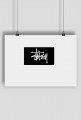 stussy